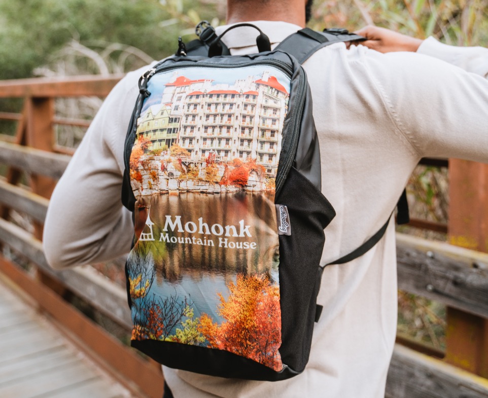 Chicobag daypack outlet