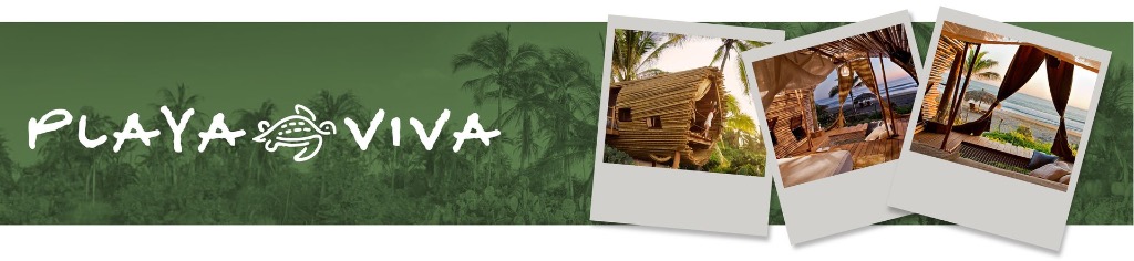 Playa Viva Logo with pictures of resort